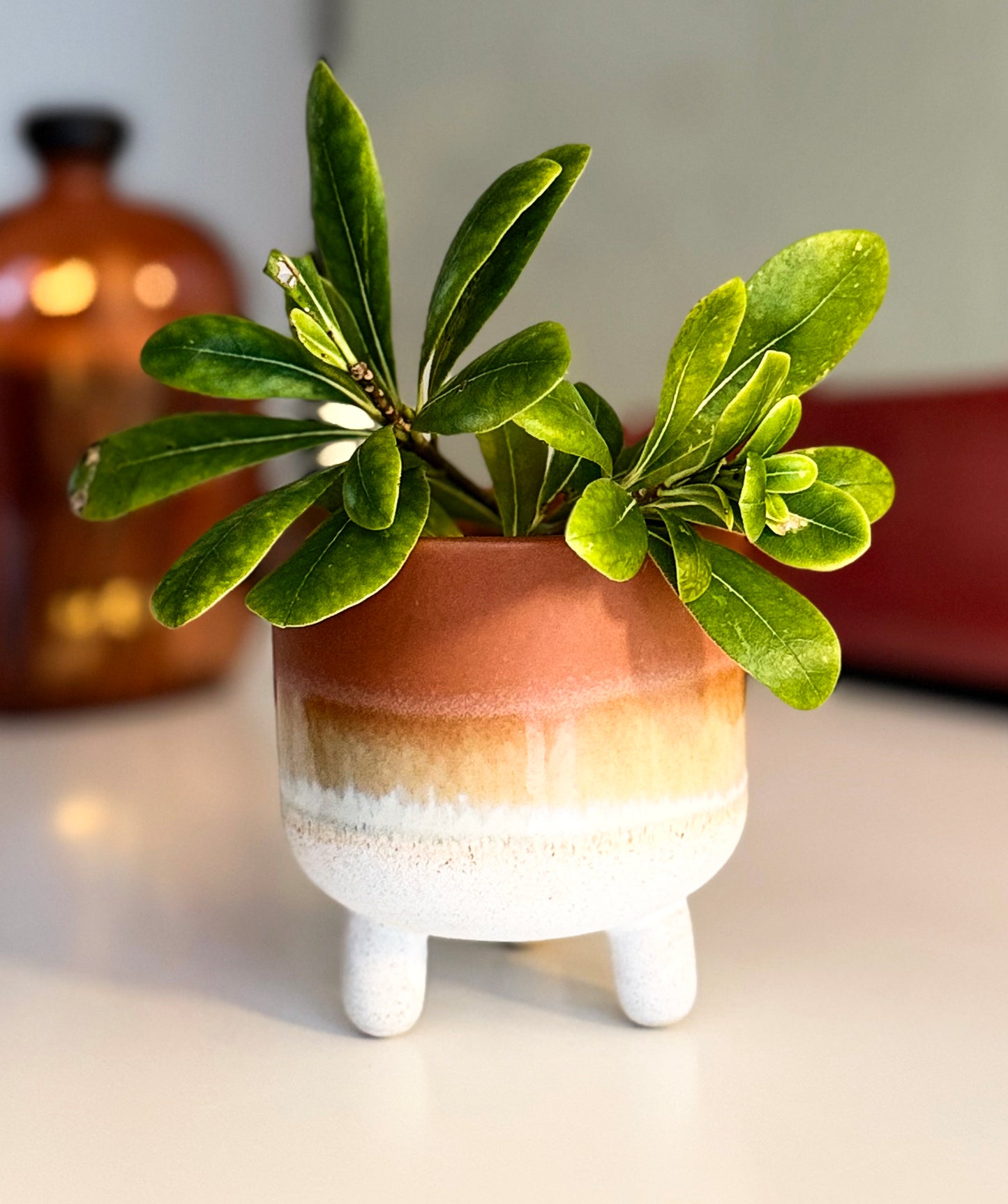 HAZE | mini plant pot