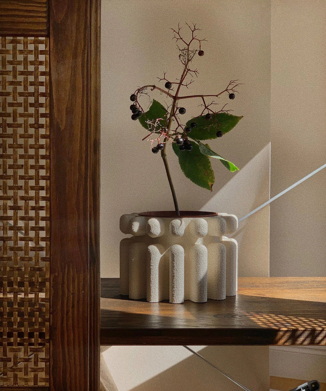 MORSE | 3D printed plant pot